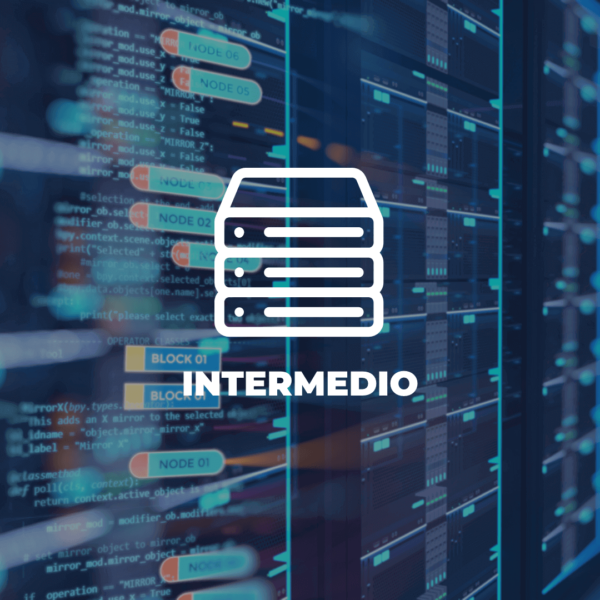 Servicio Web Hosting Plan Empresa