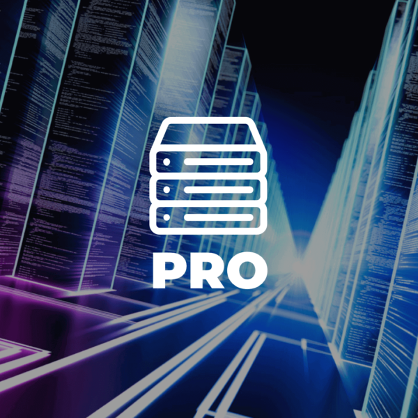 Servicio Web Hosting Plan Pro